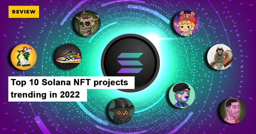 Top 10 Solana NFT projects trending in 2022