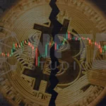 Bitcoin’s Condition after First Halving Cycle